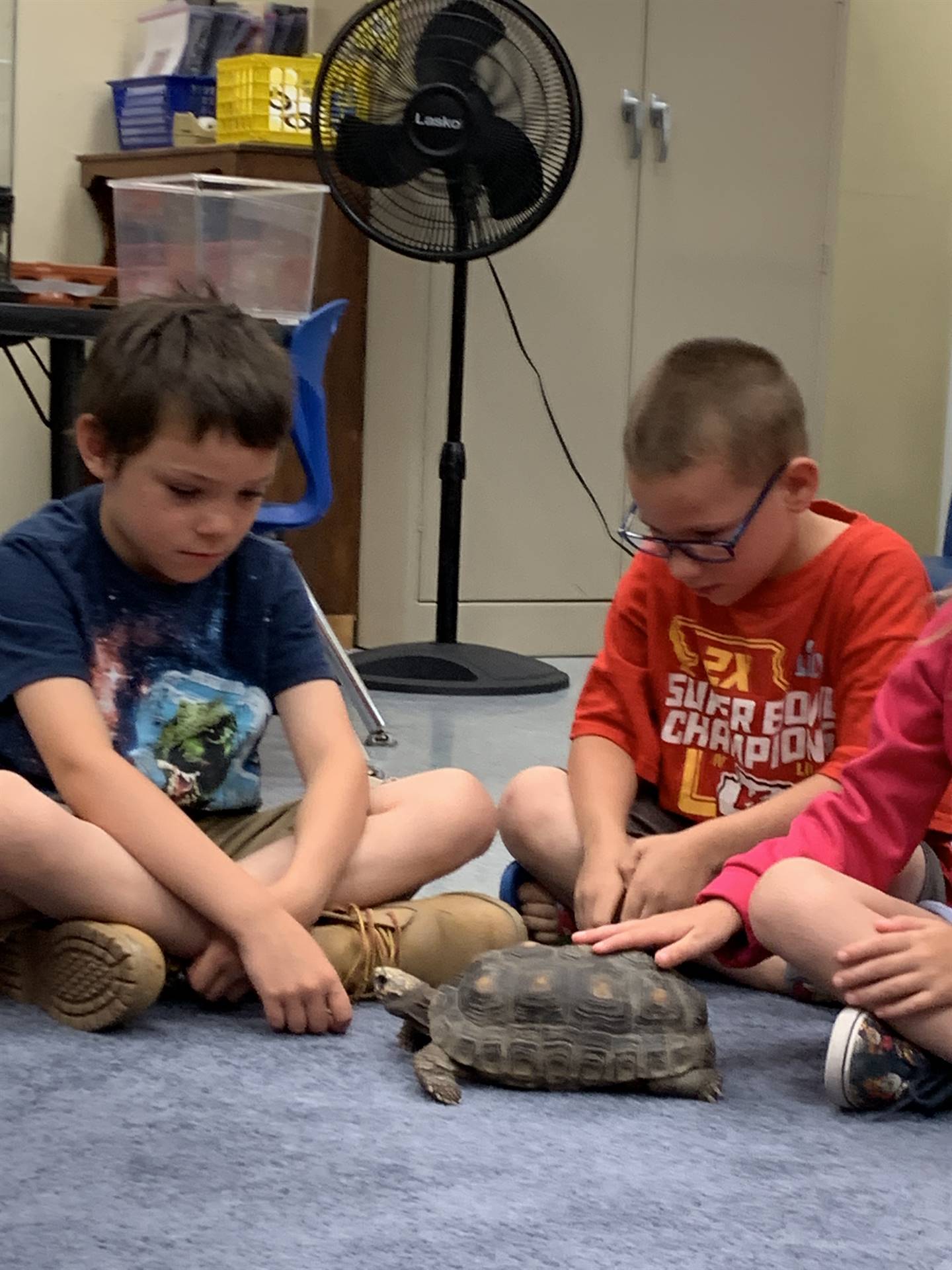 2 students meet tortoise