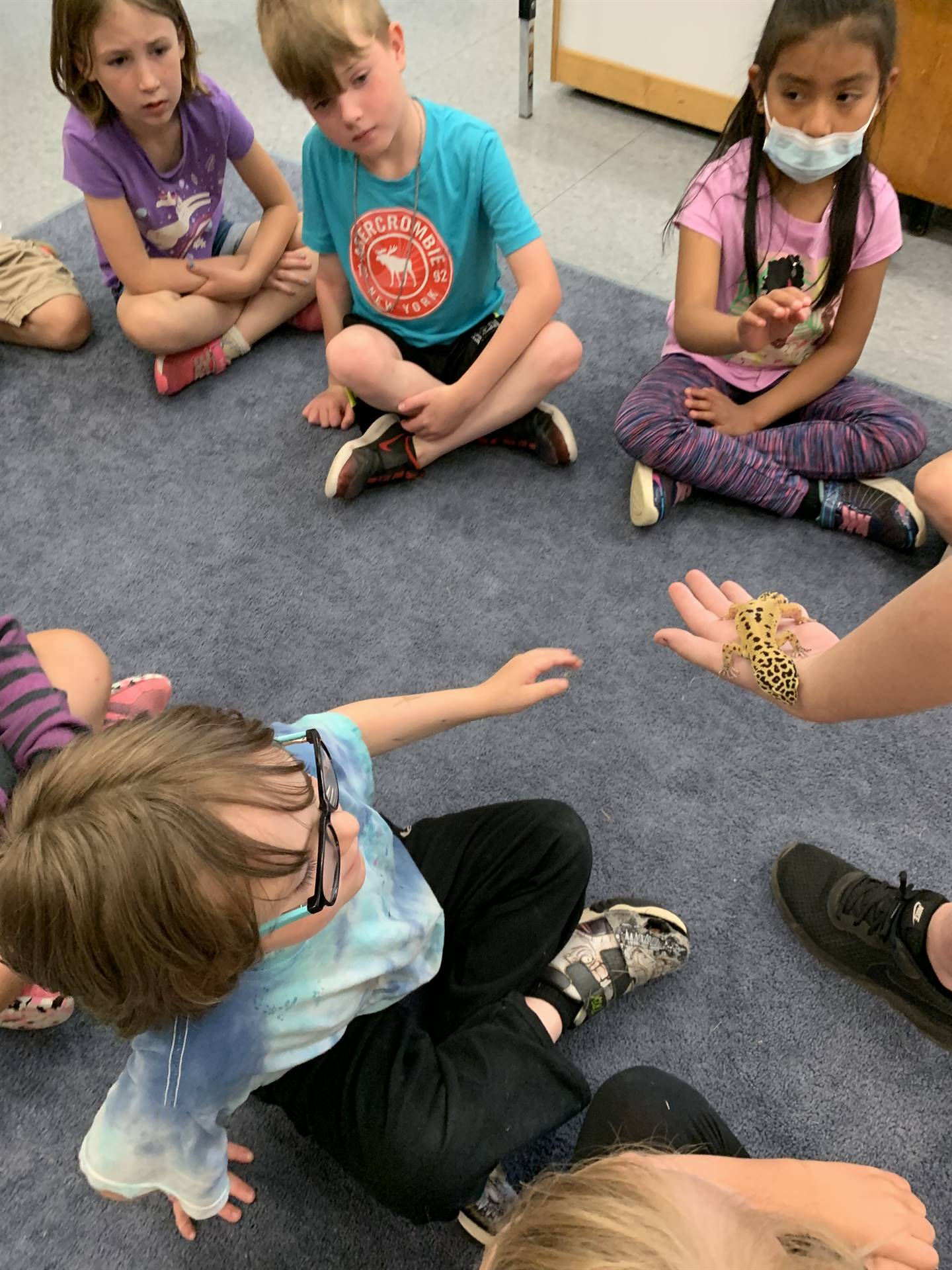 students look and learn about lizards