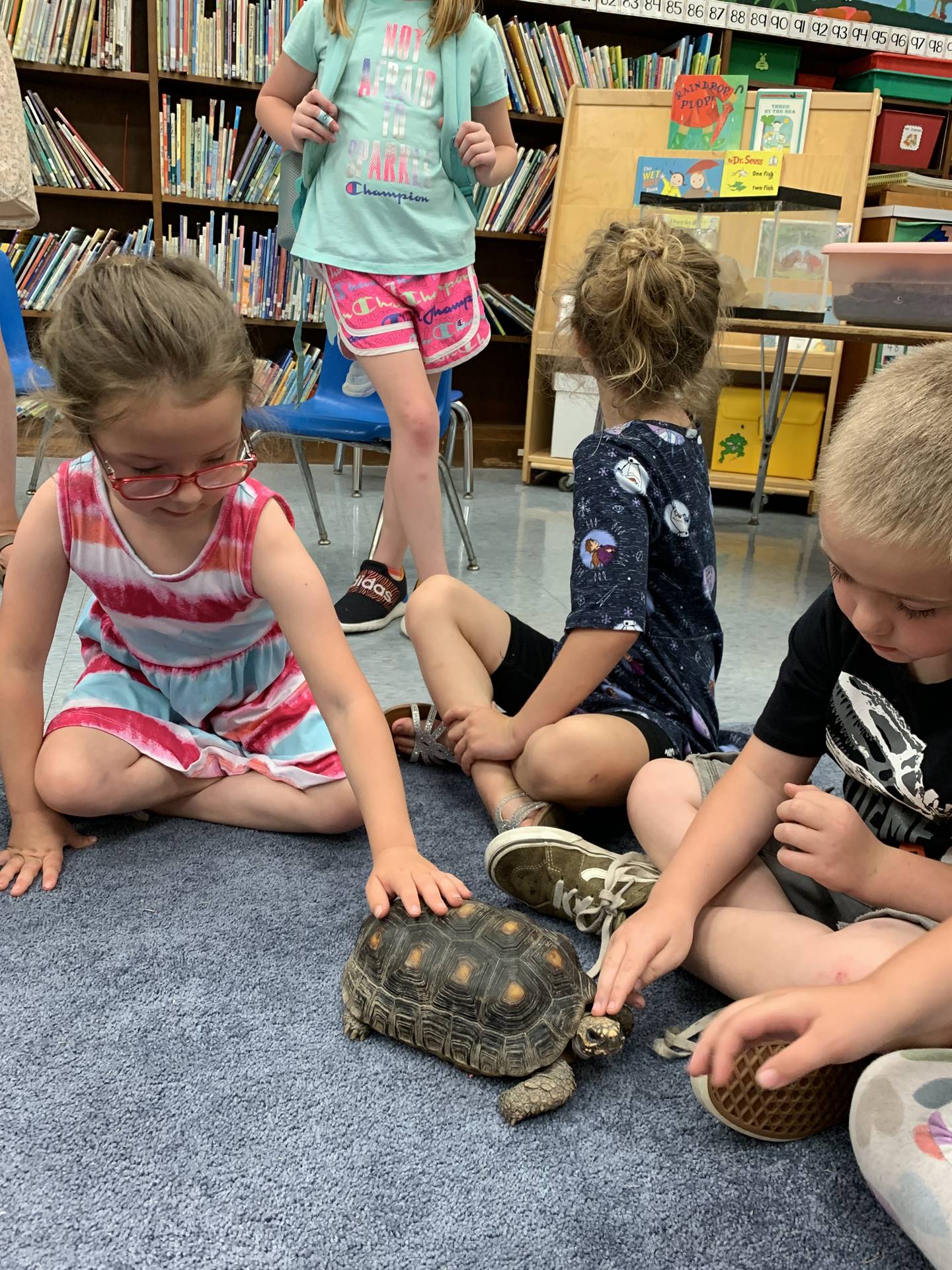students meet tortoise