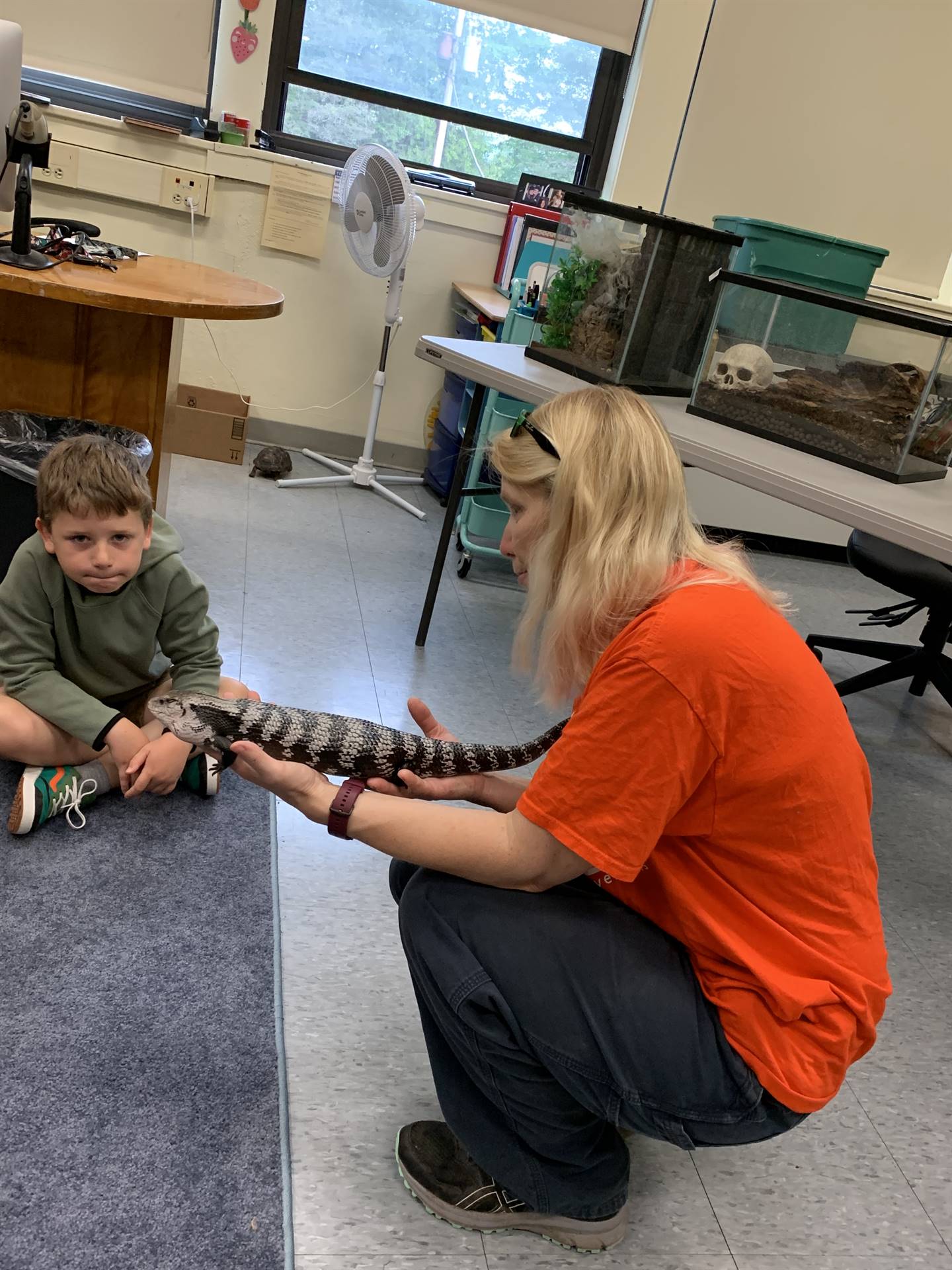 student meets skink that is black and white striped