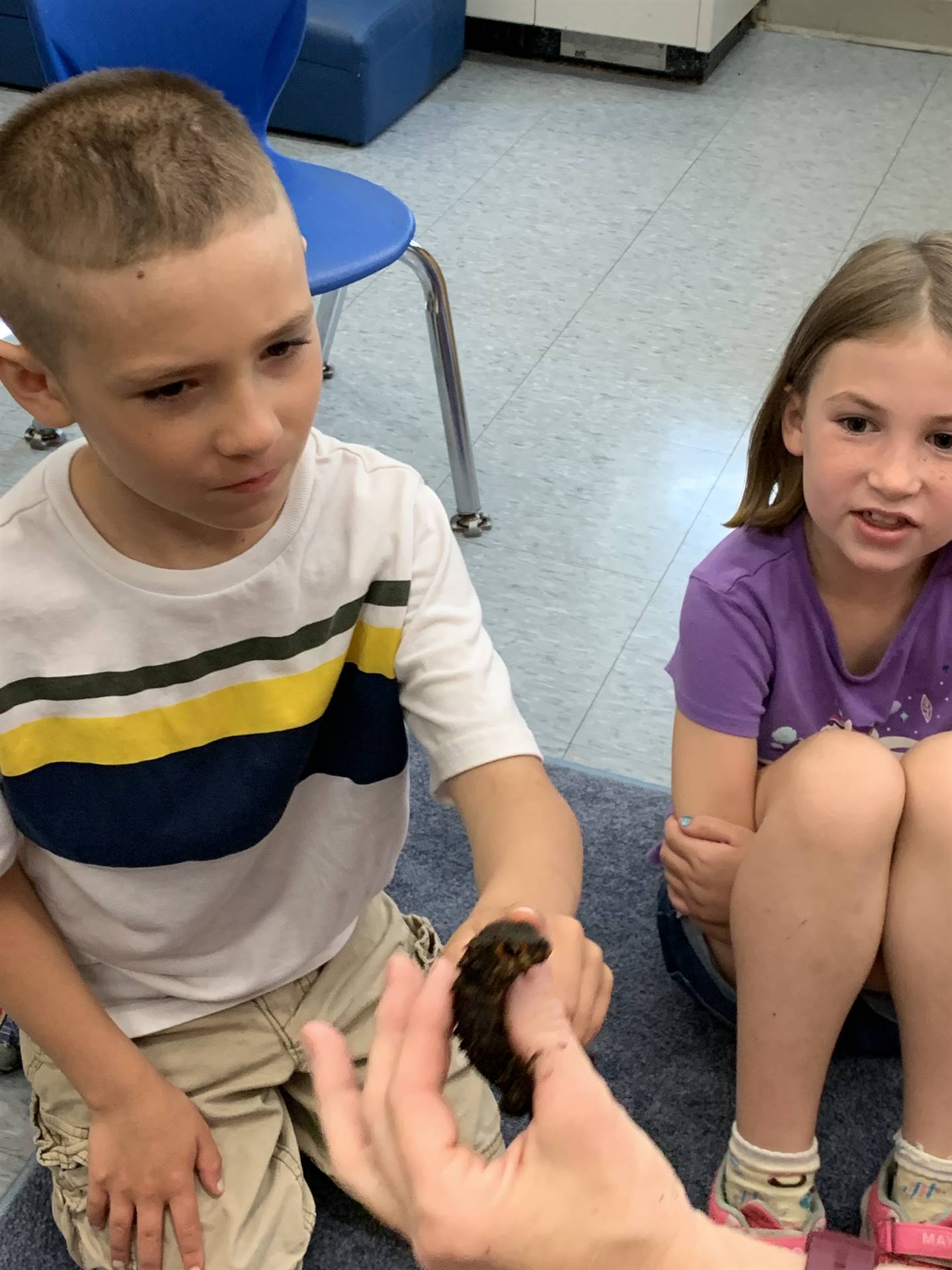 students touch a lizard