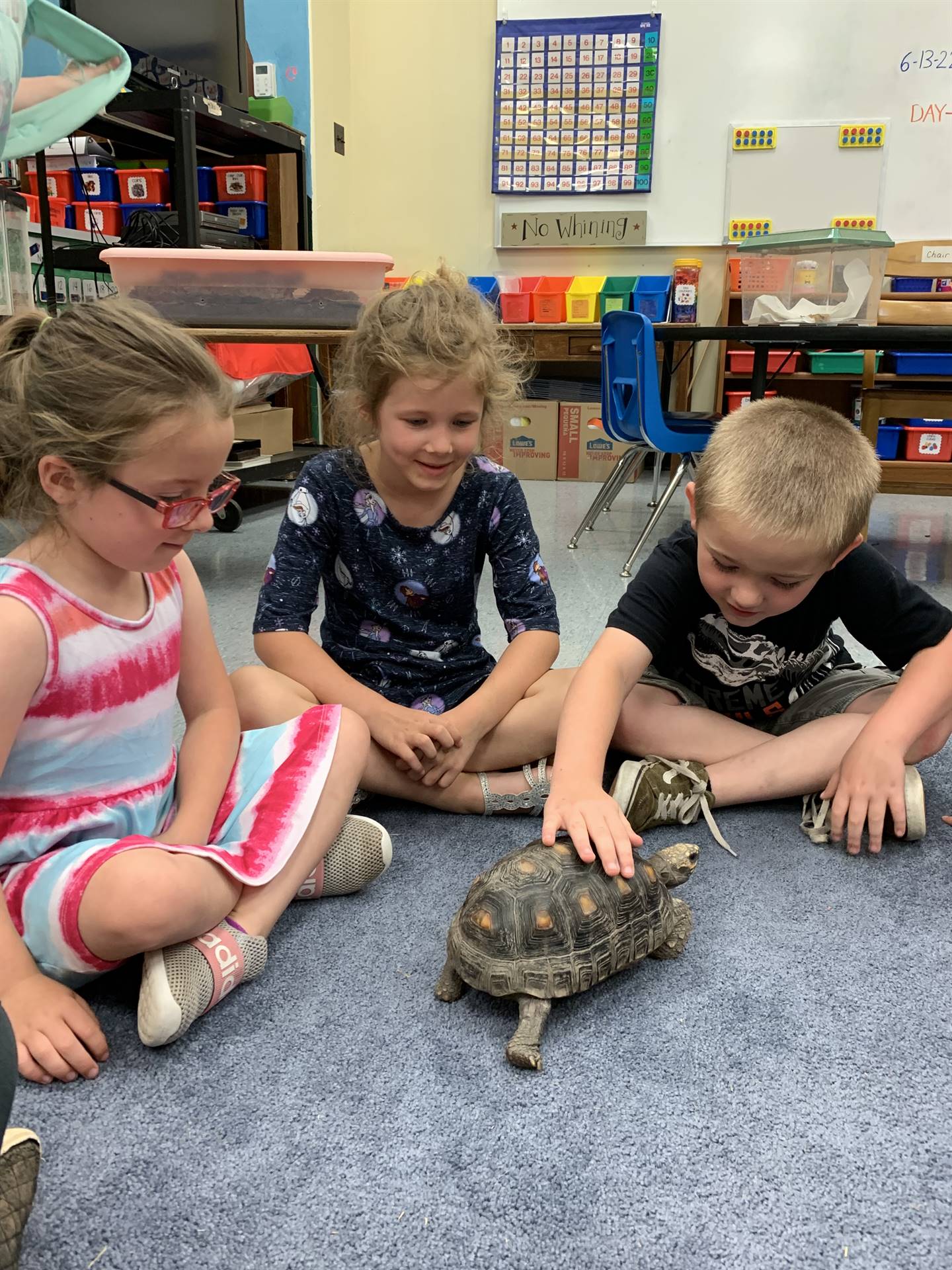 students with a tortoise
