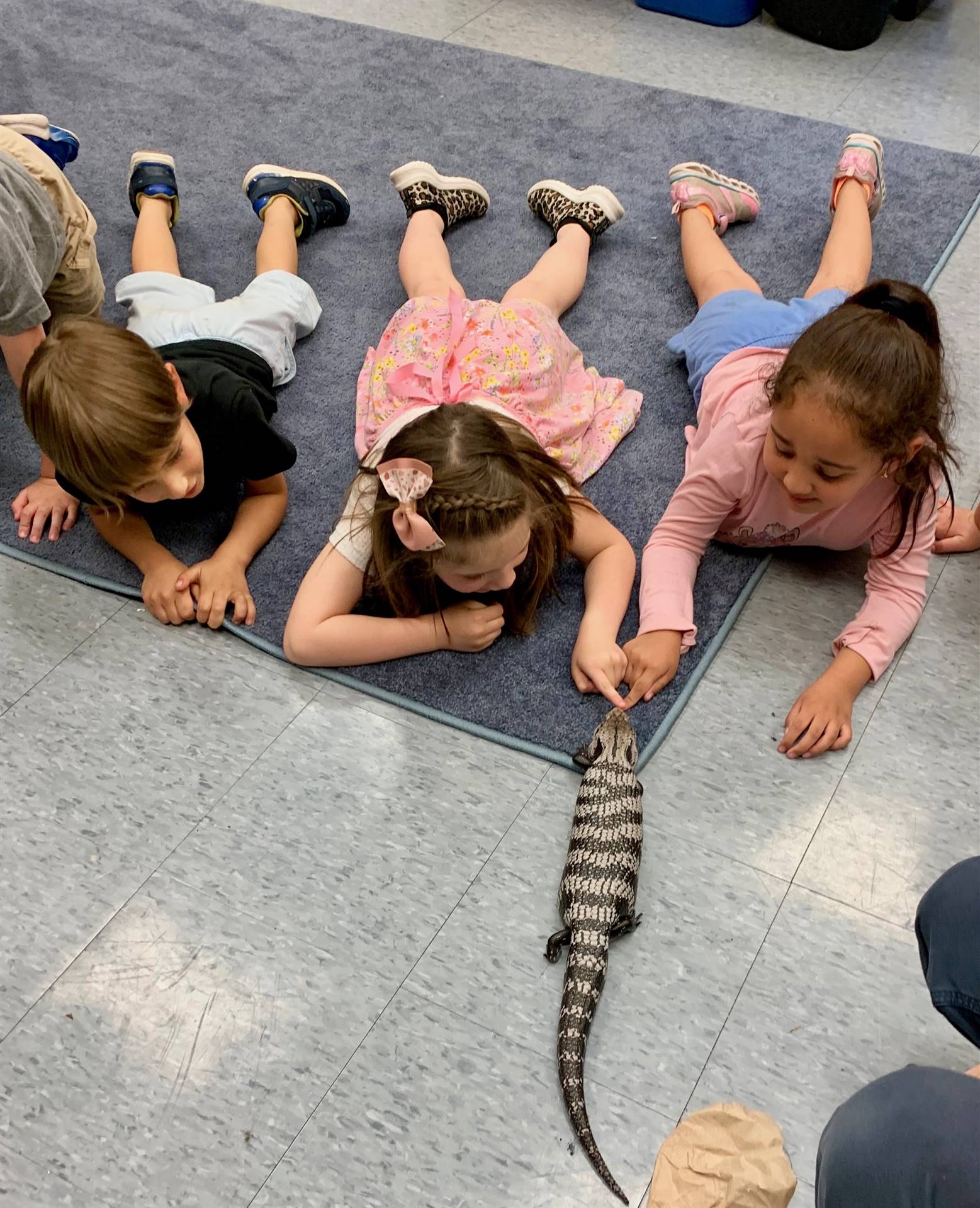 3 students on floor with skink