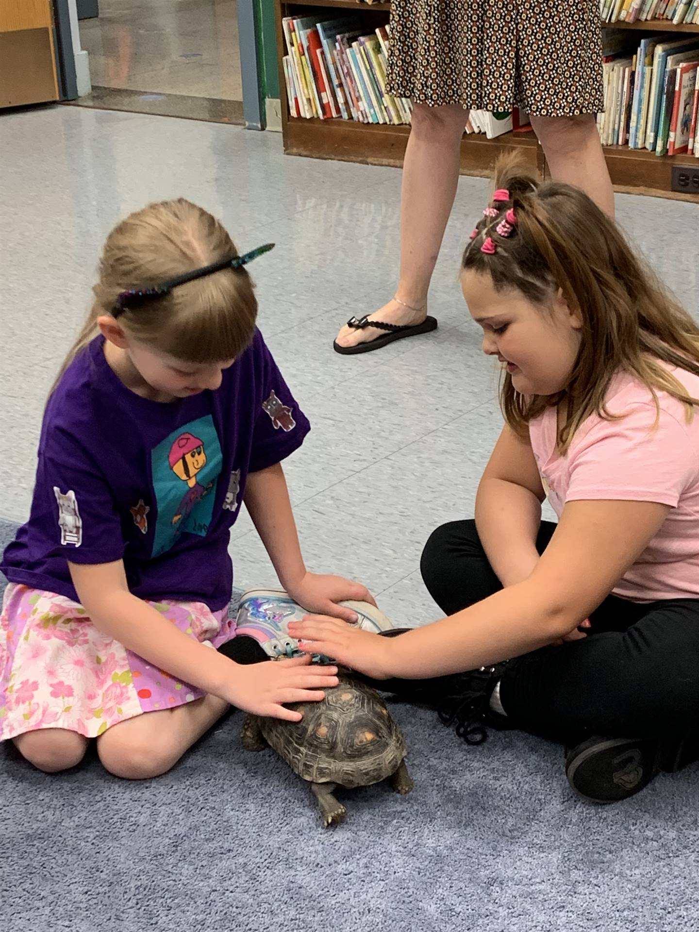 2 students pet tortoise
