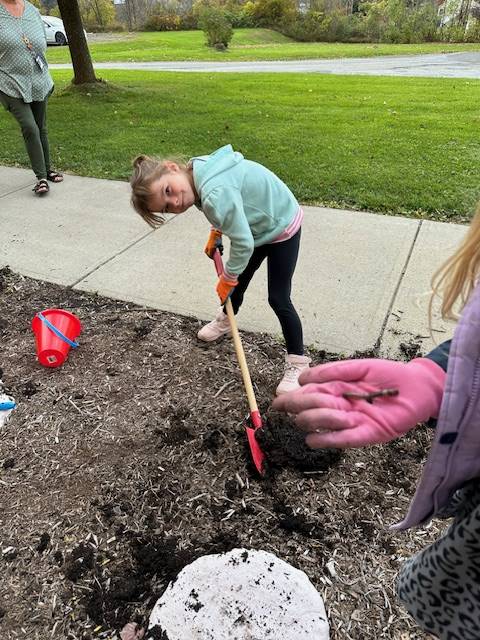 A student digging in a garden outside.
