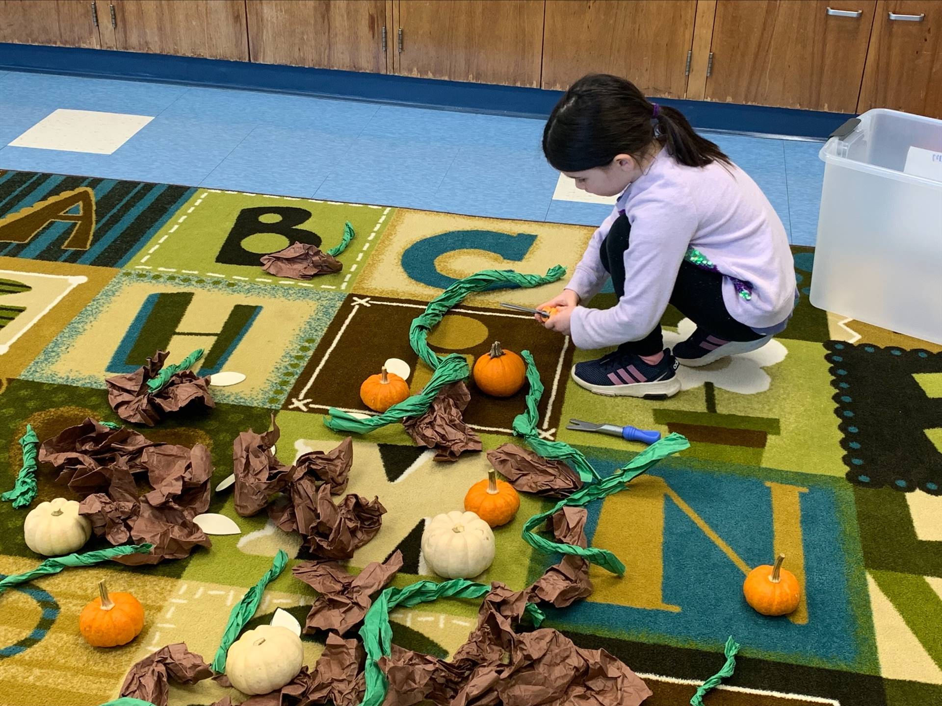 a student  adds pumpkins to a pretend play pumpkin patch