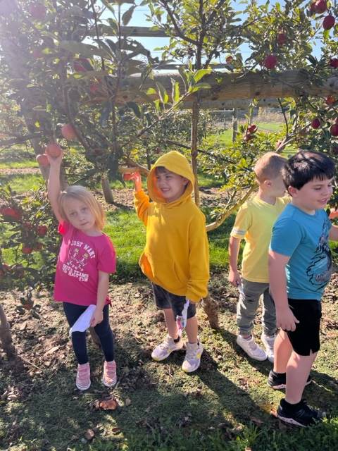 kids in an apple orchard.
