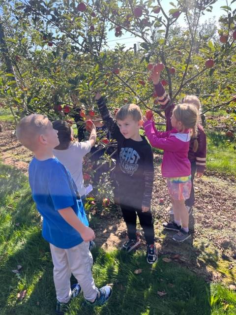 kids pick apples off an apple tree