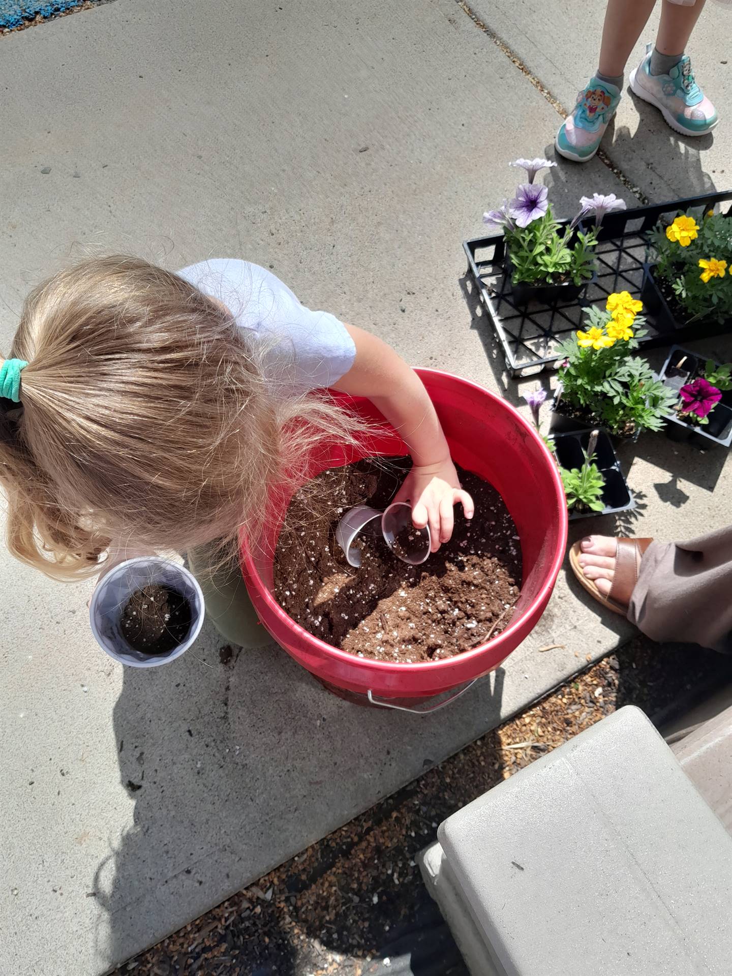 a student scoops soil from a bucket