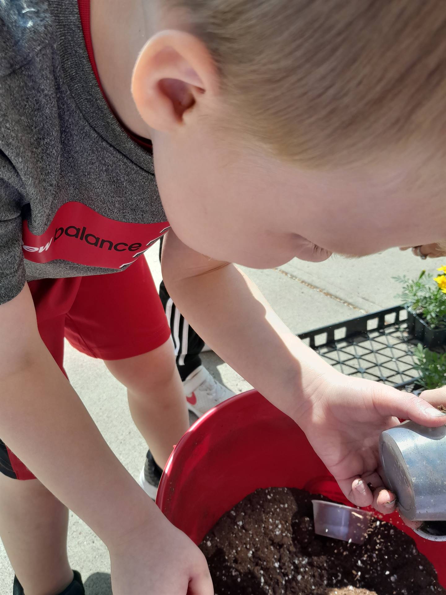 a student scoops soil from a bucket