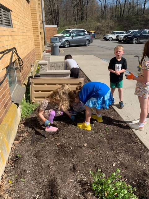 students weeding a garden.