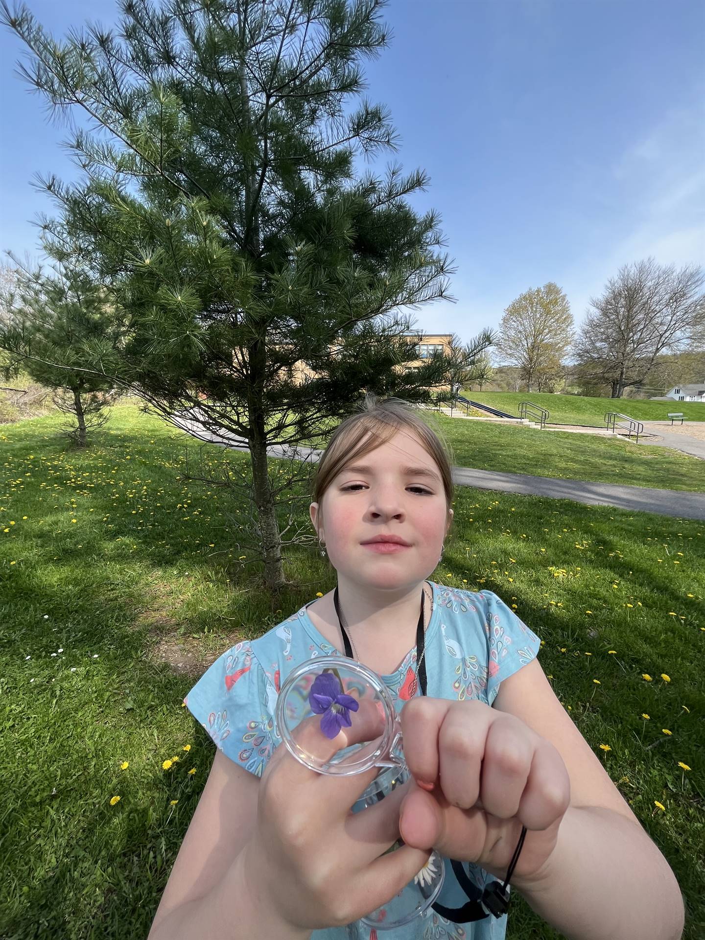 a student holds up a jar with a purple violet