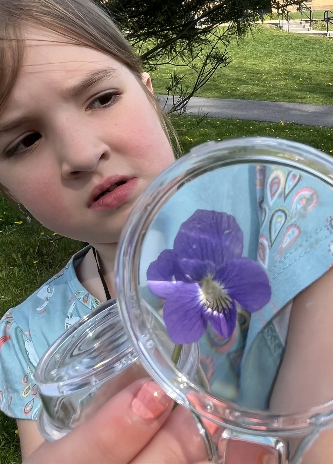 up close nature find through a magnifying glass!