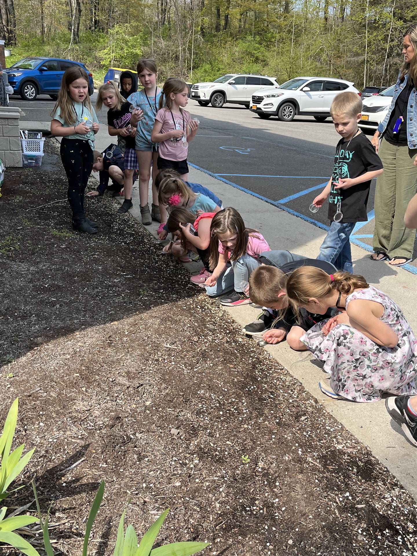 students crouched down looking for nature objects