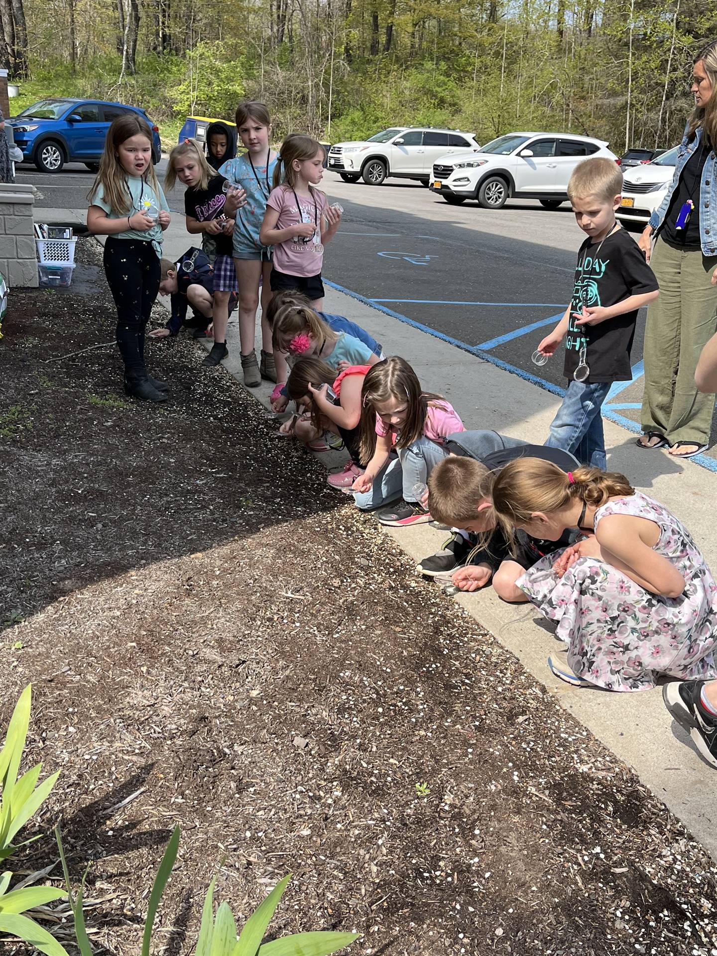 students crouched down looking for nature objects