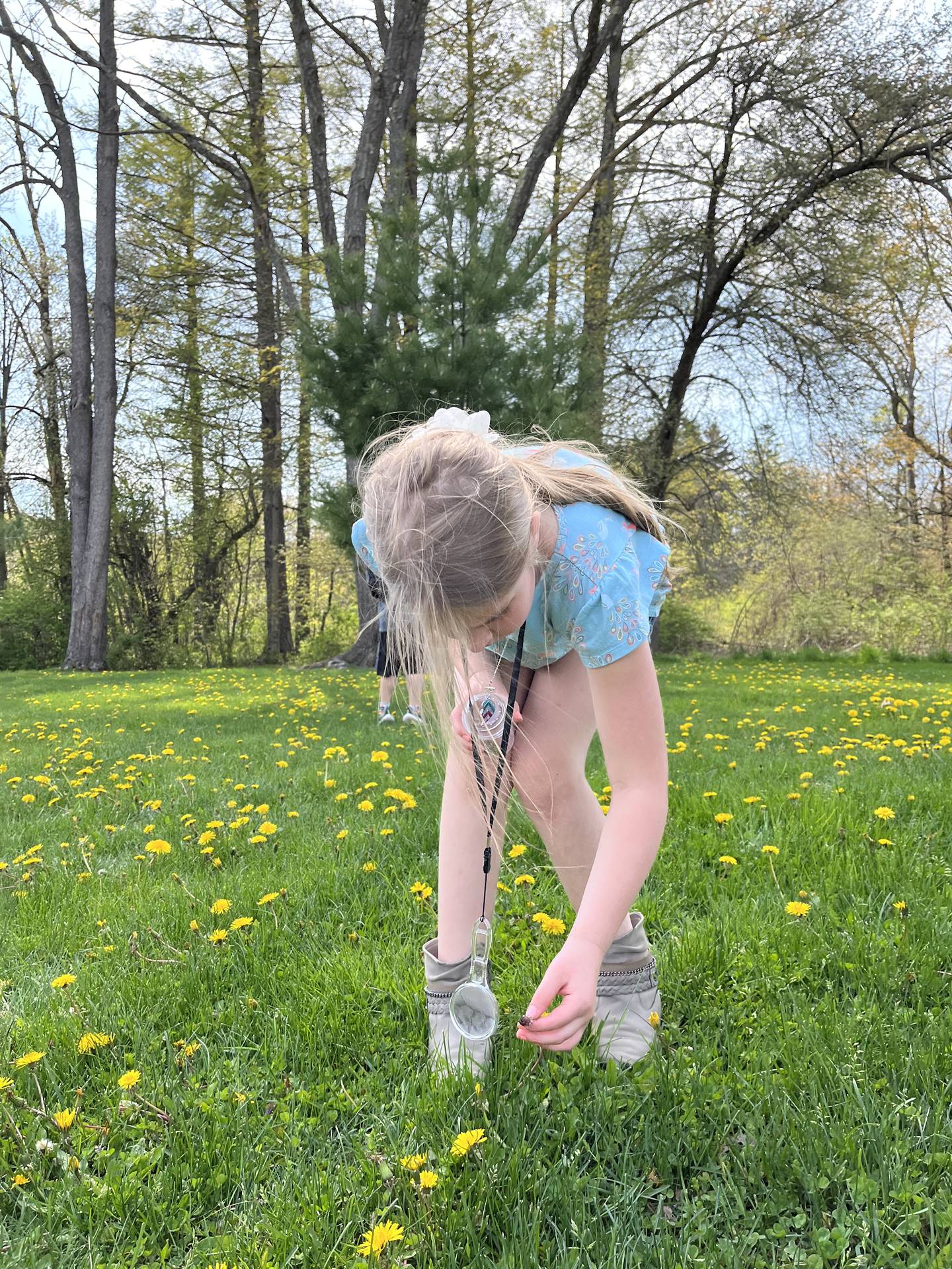 a student bends over to get a nature treasure out of grass