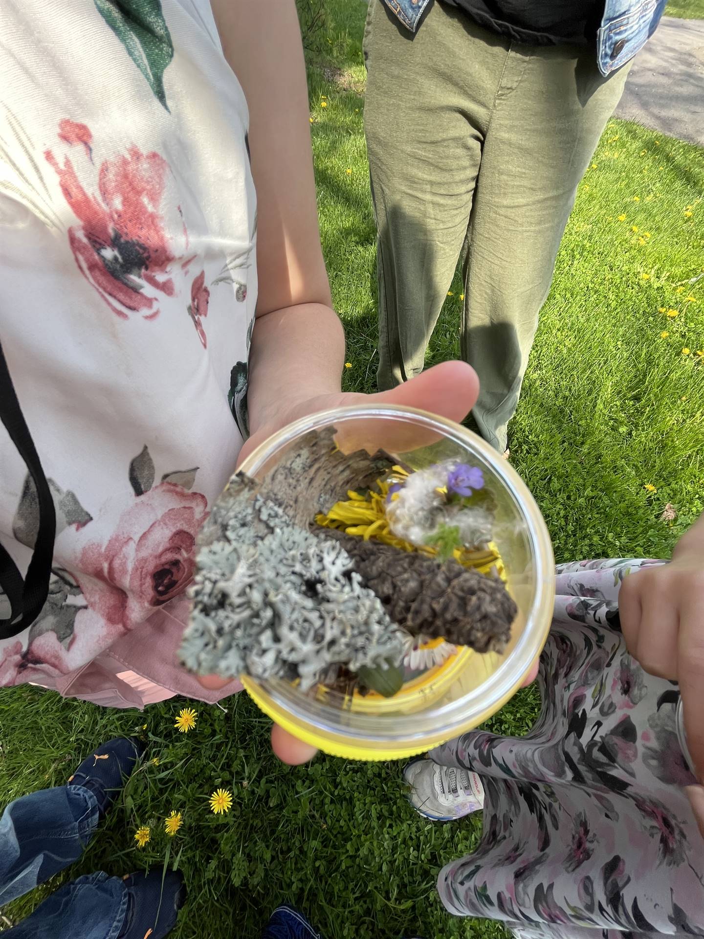 looking at the inside of a jar filled with nature items