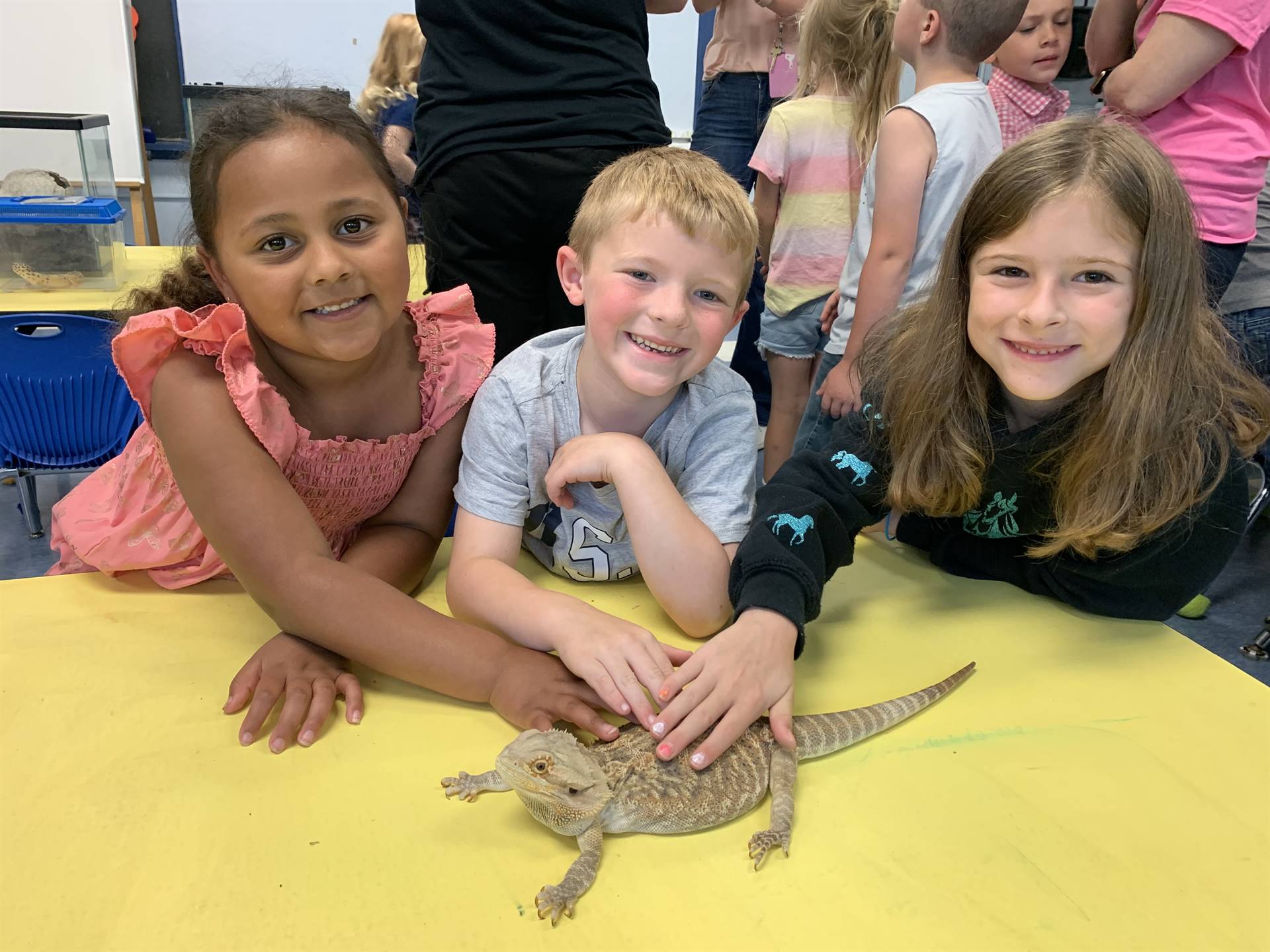 3 students petting a lizard