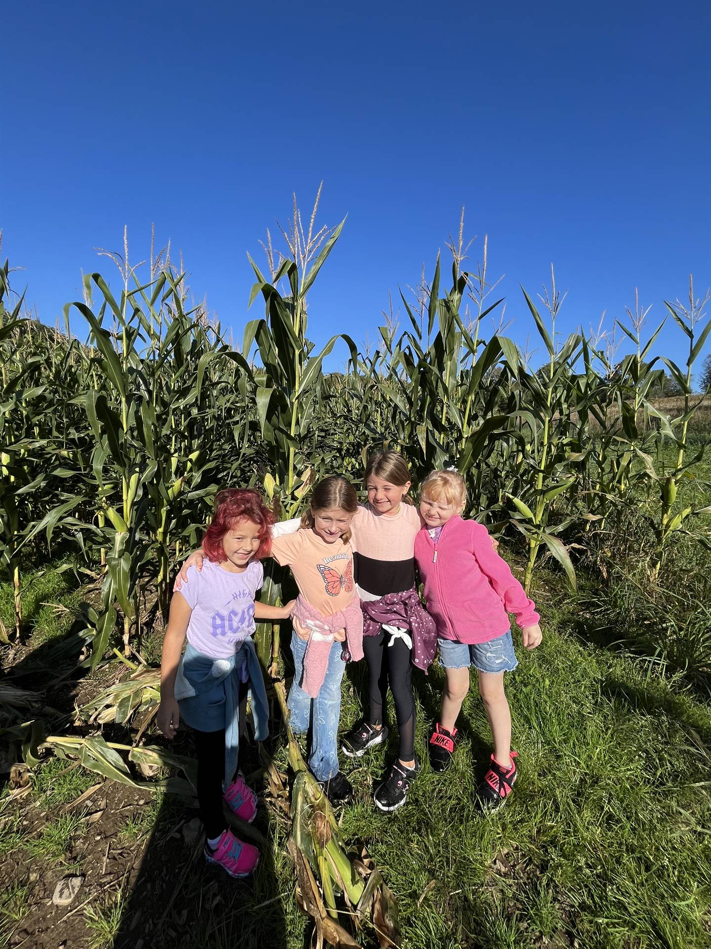 4 students in a corn field.