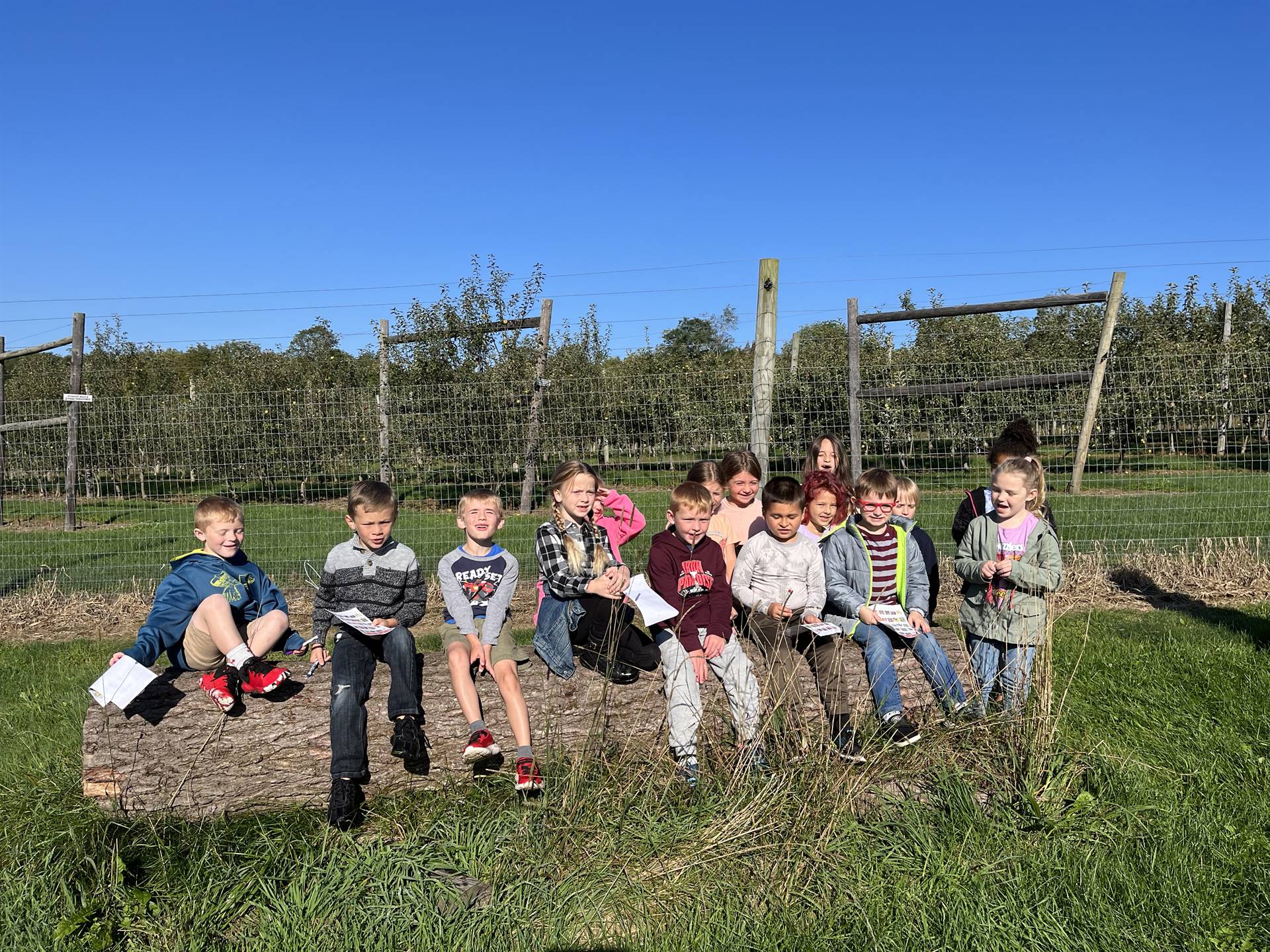 students sitting on a log outside.