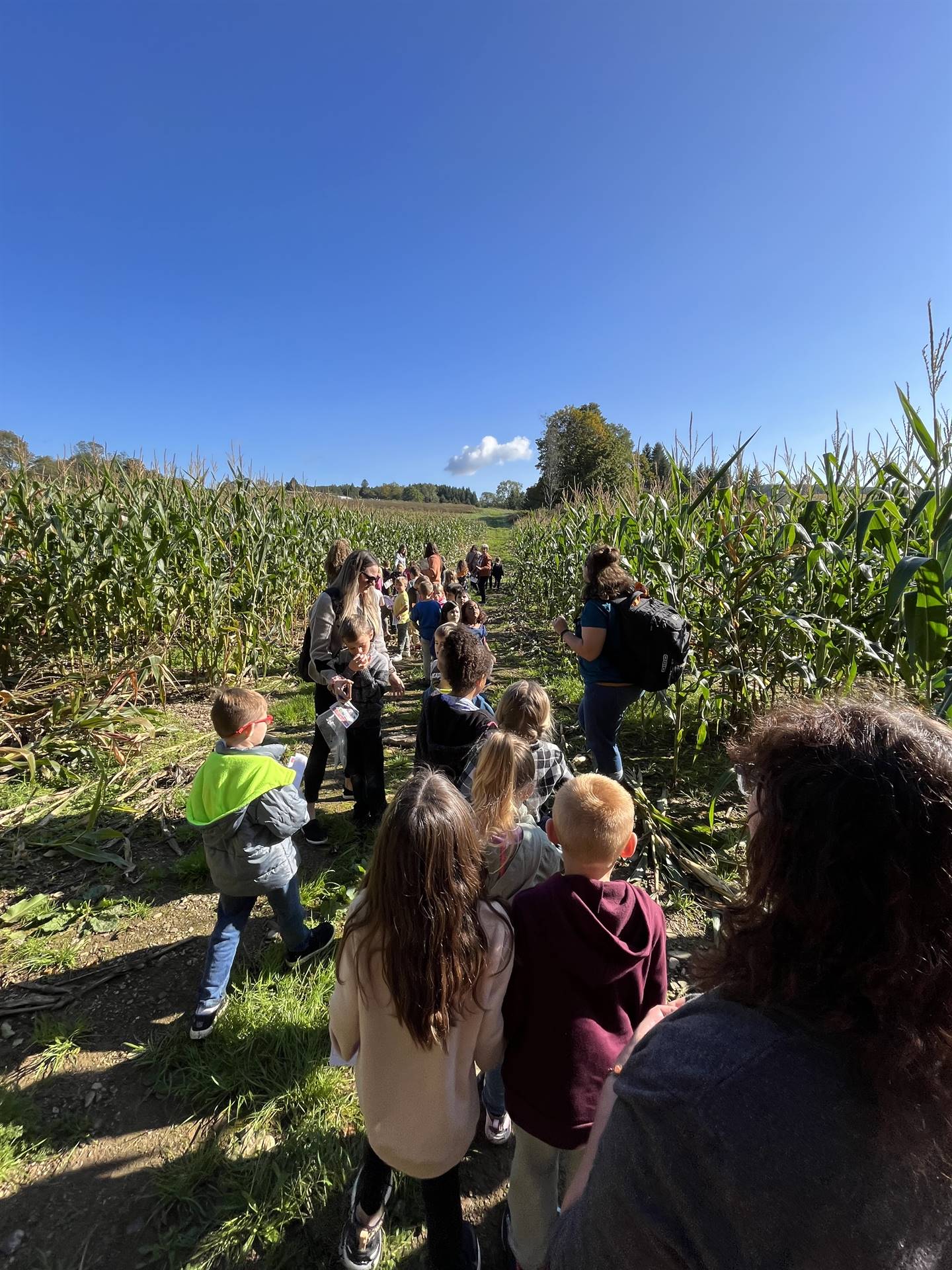 students taking a hike.