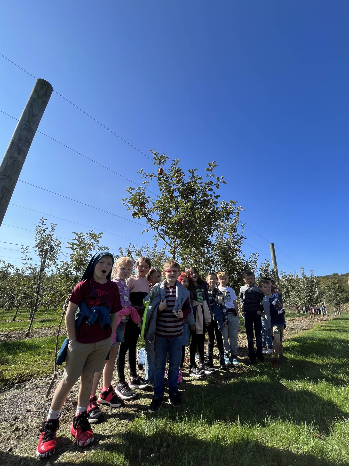 students by an apple tree in an apple orchard