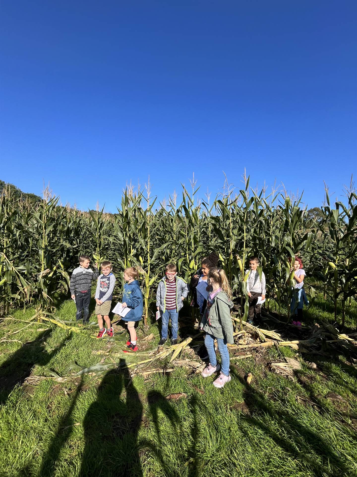 students in a corn field.