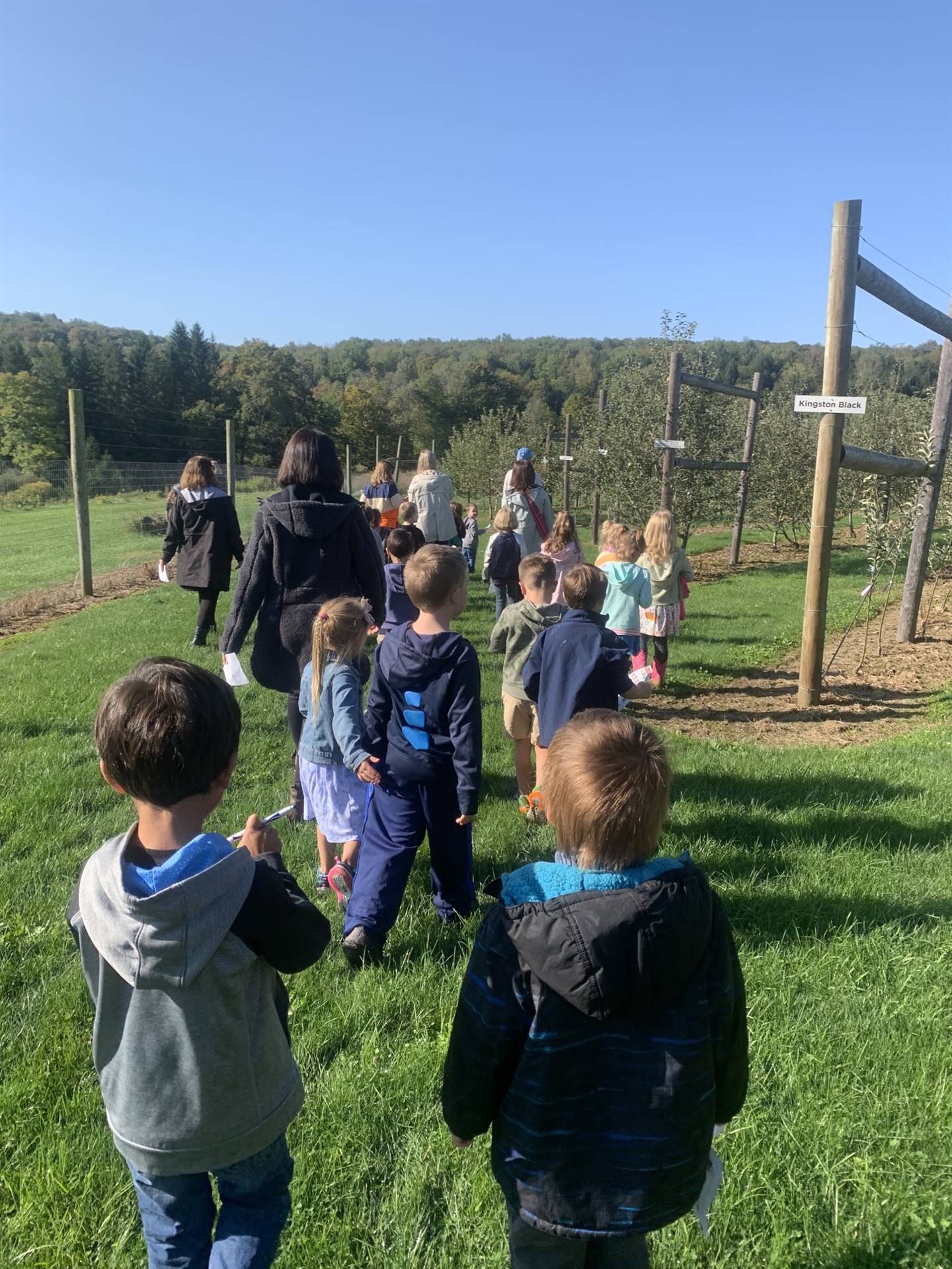 a group of kids walking outside.