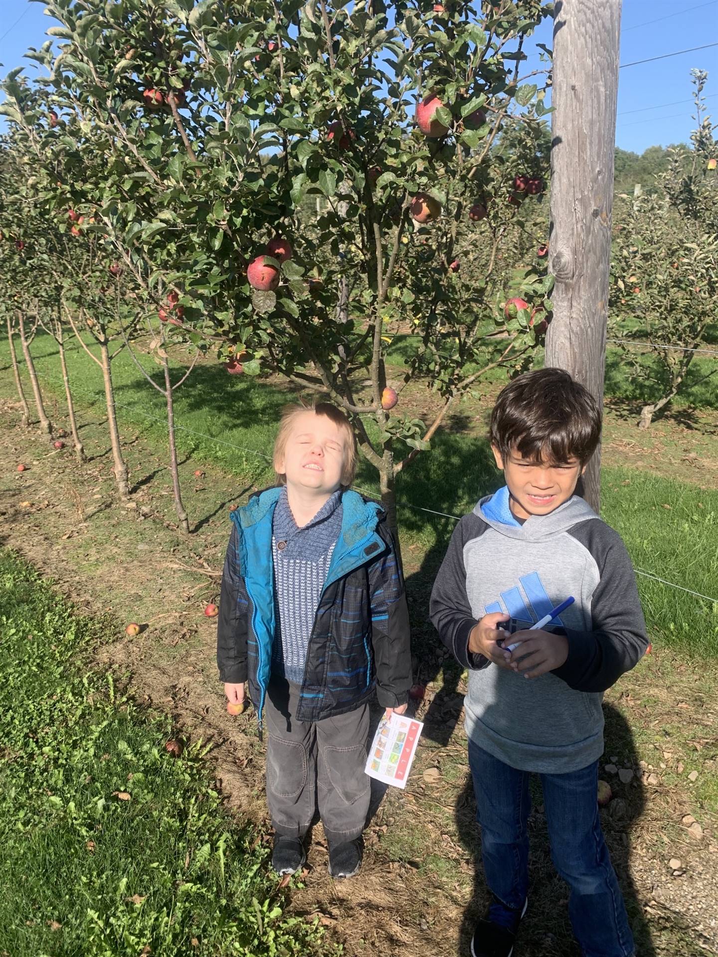 2 kids with apple tree in background