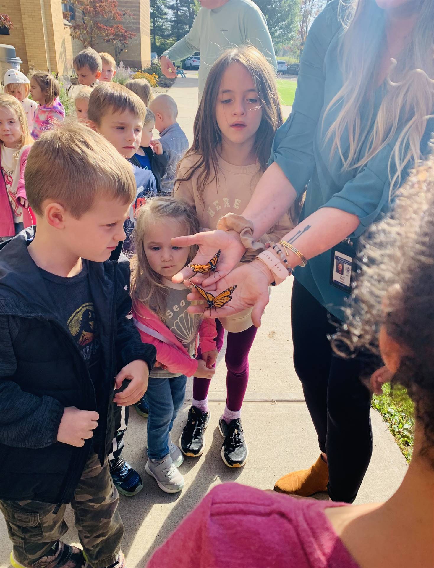 students looking at a hatched monarch butterfly.