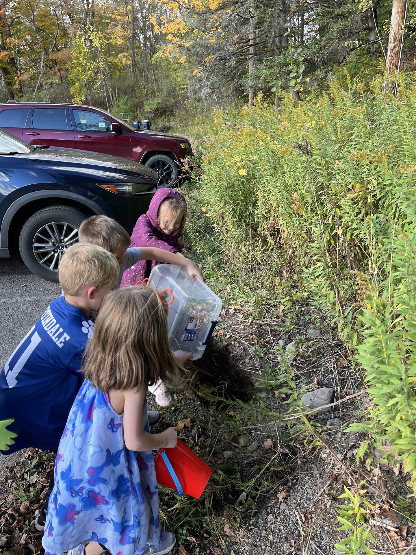 students dumping pails of weeds