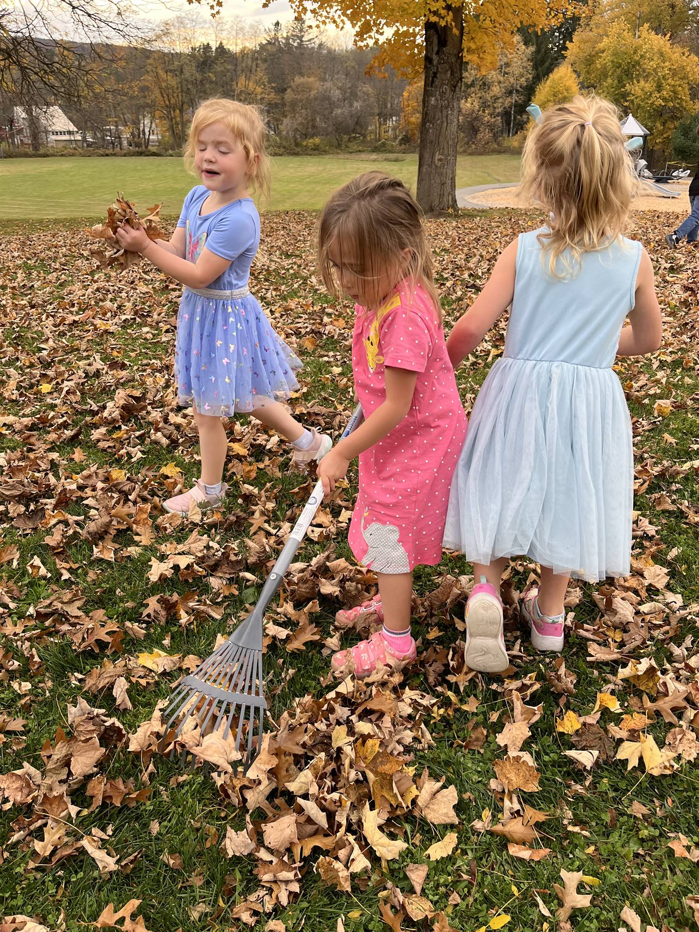 students outside raking leaves.