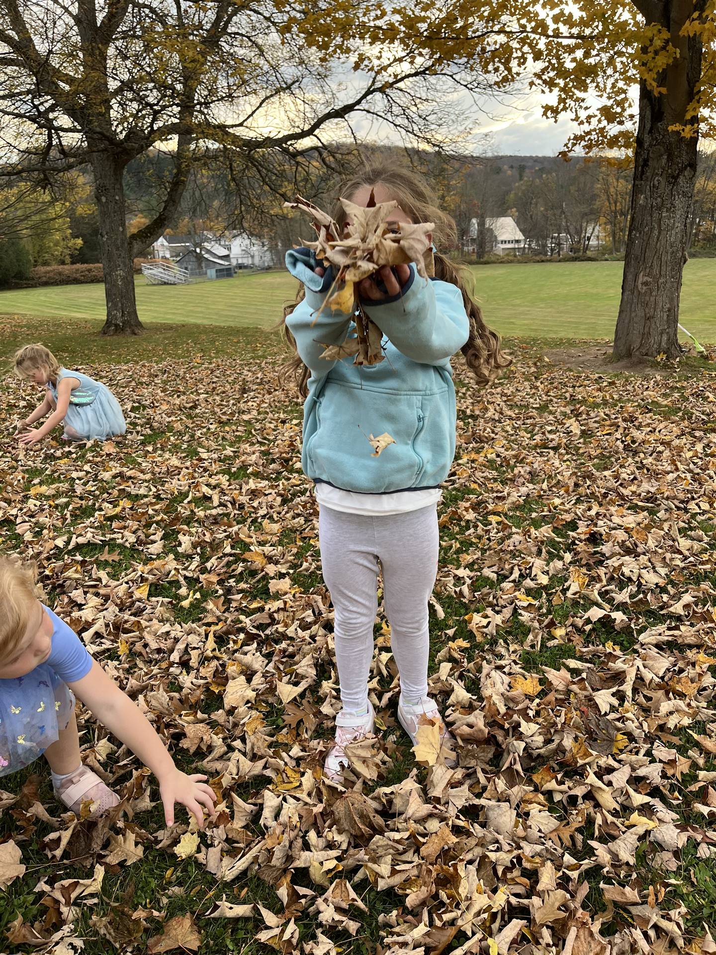 a student holding a handful of leaves
