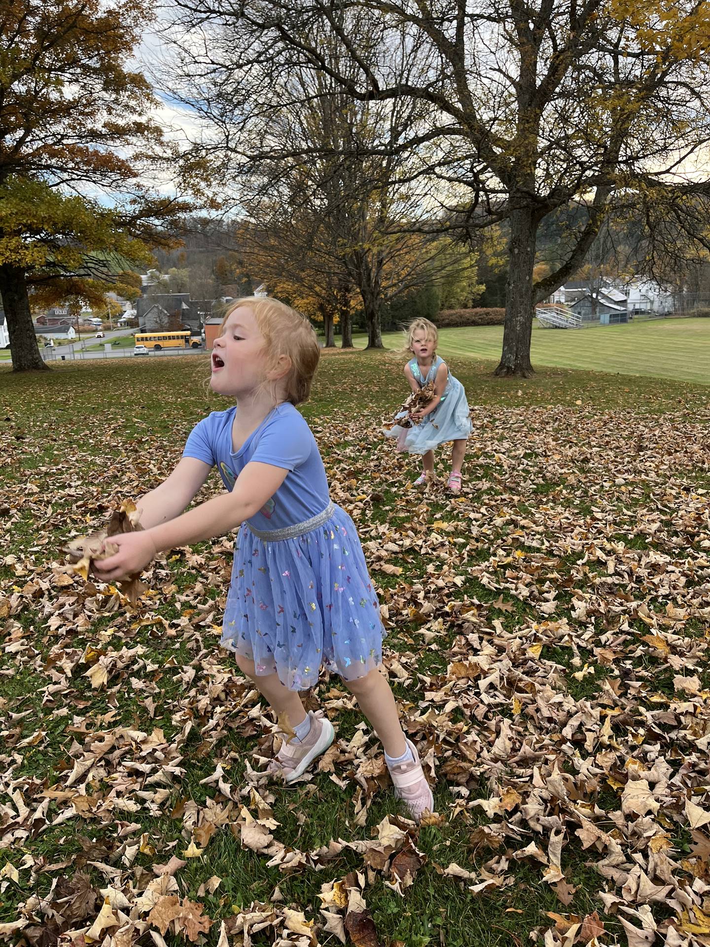 a student holding a handful of leaves