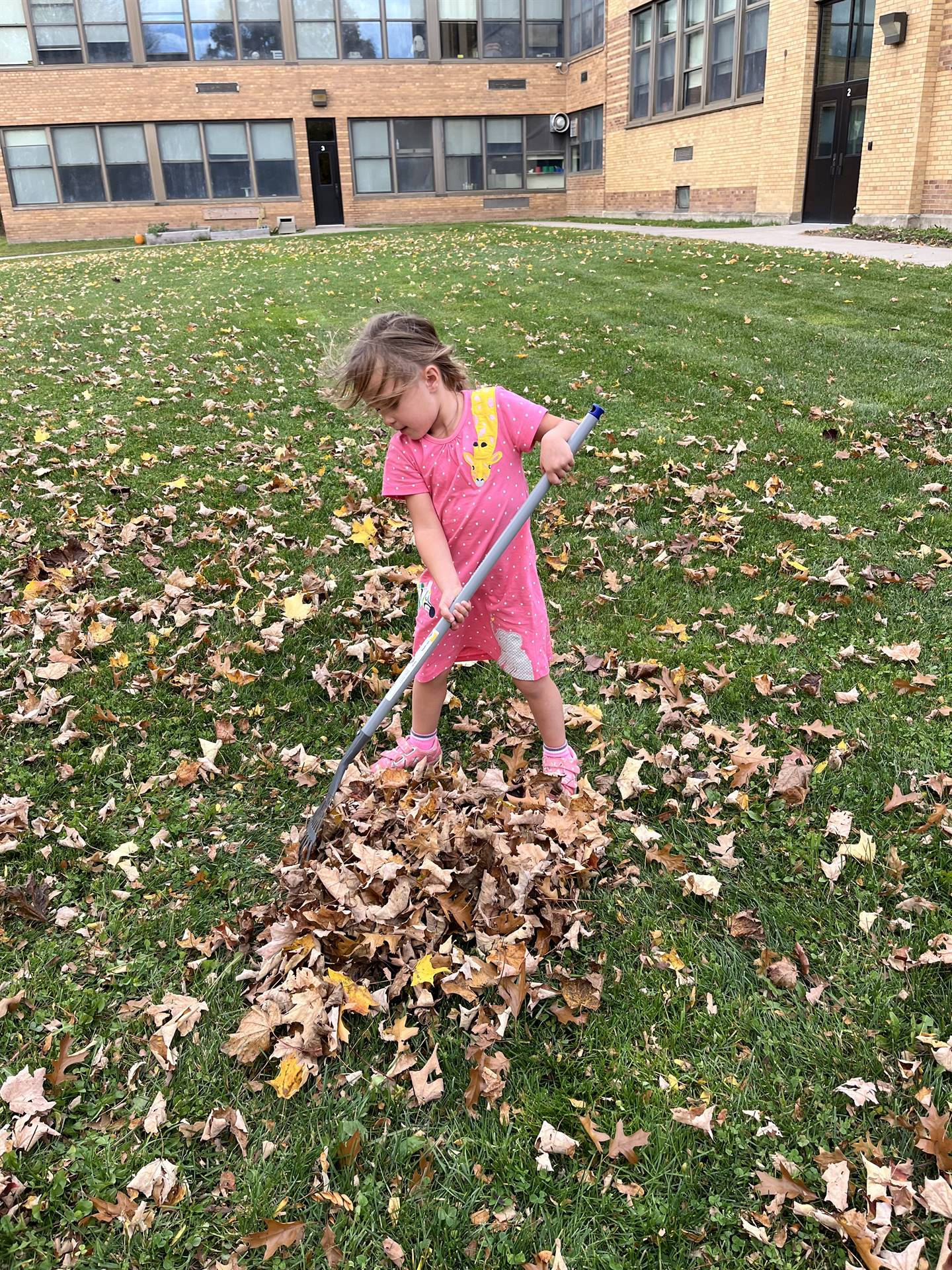 student raking leaves