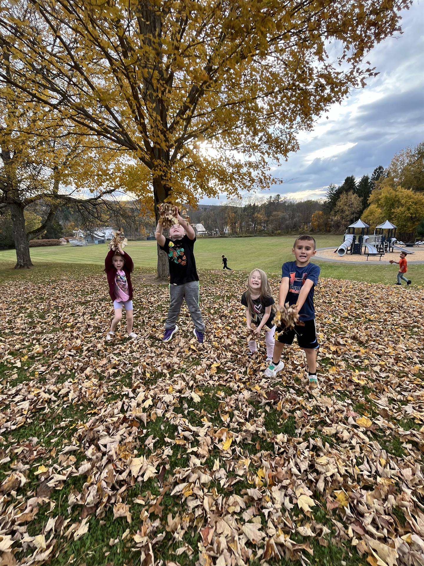 students throwing leaves in air.