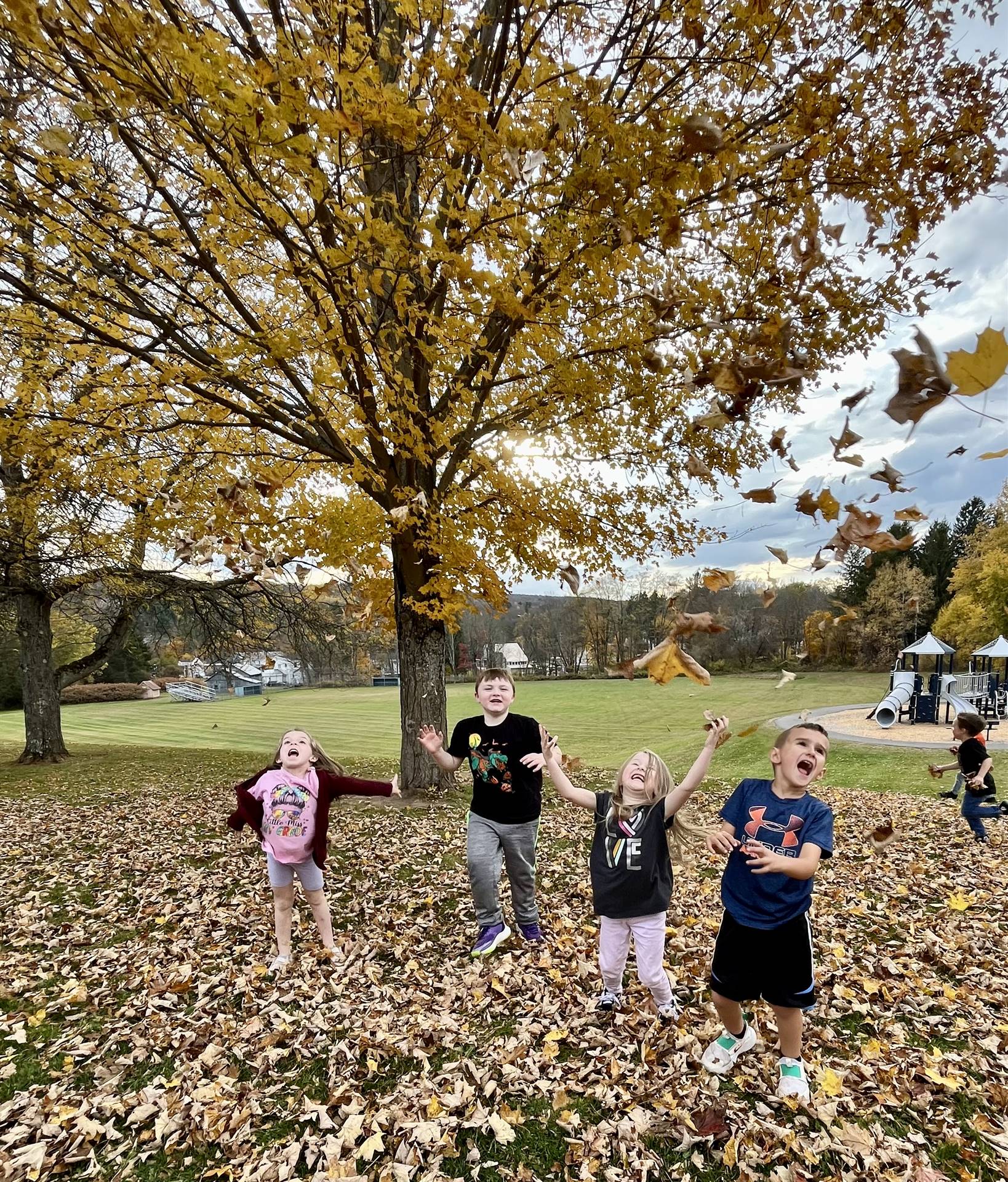 students throwing leaves in air.