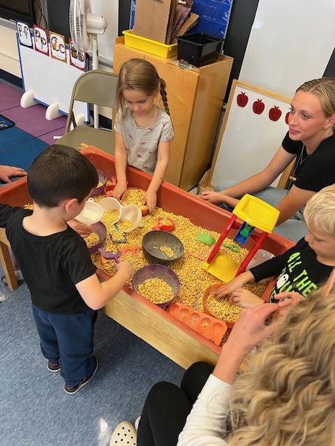 students playing in a  corn bin.s