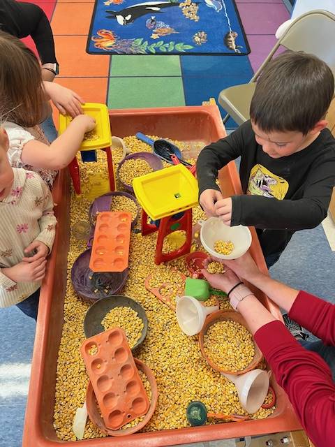 students playing in a  corn bin.s
