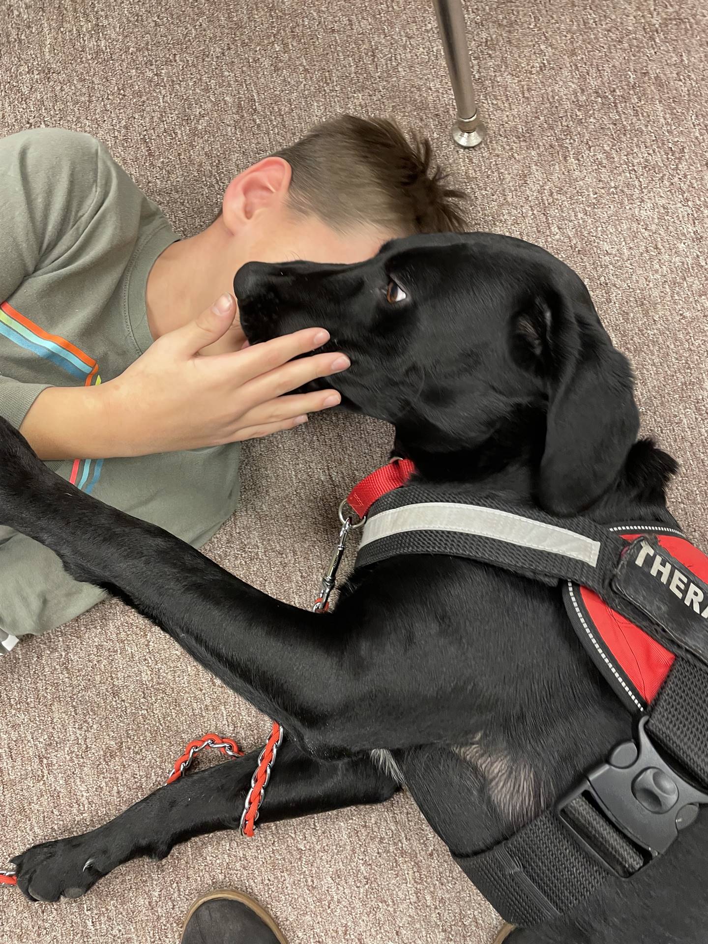 1 student and 1 black dog on floor