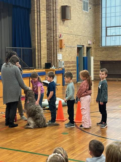 a gray curly haired labradoodle dog is being pet by some students