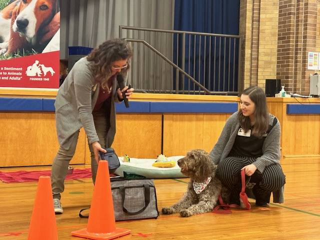 2 adult presenters with a gray curly-haired labradoodle.