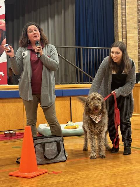 2 adult presenters with a gray curly-haired labradoodle.