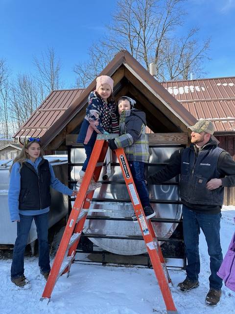 students with adults on a ladder to look into a maple syrup sap collecting bin.