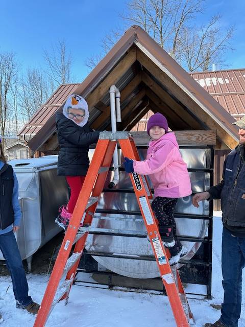 students with adults on a ladder to look into a maple syrup sap collecting bin.