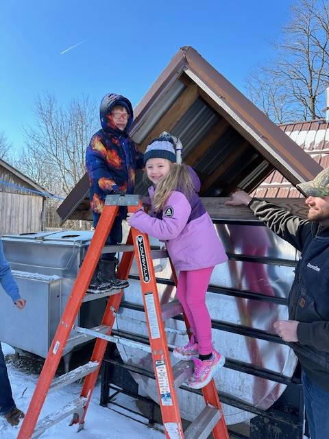 students with adults on a ladder to look into a maple syrup sap collecting bin.