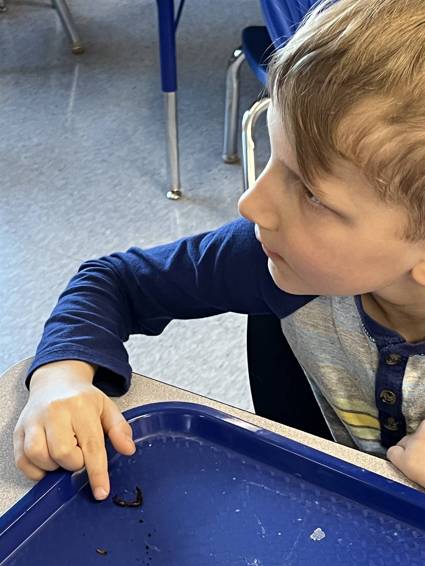 a student points at a worm crawls on his plate