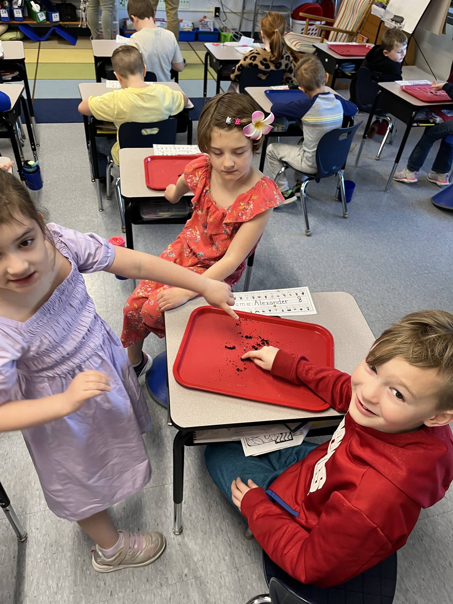 3 students point to the worms crawling on a tray