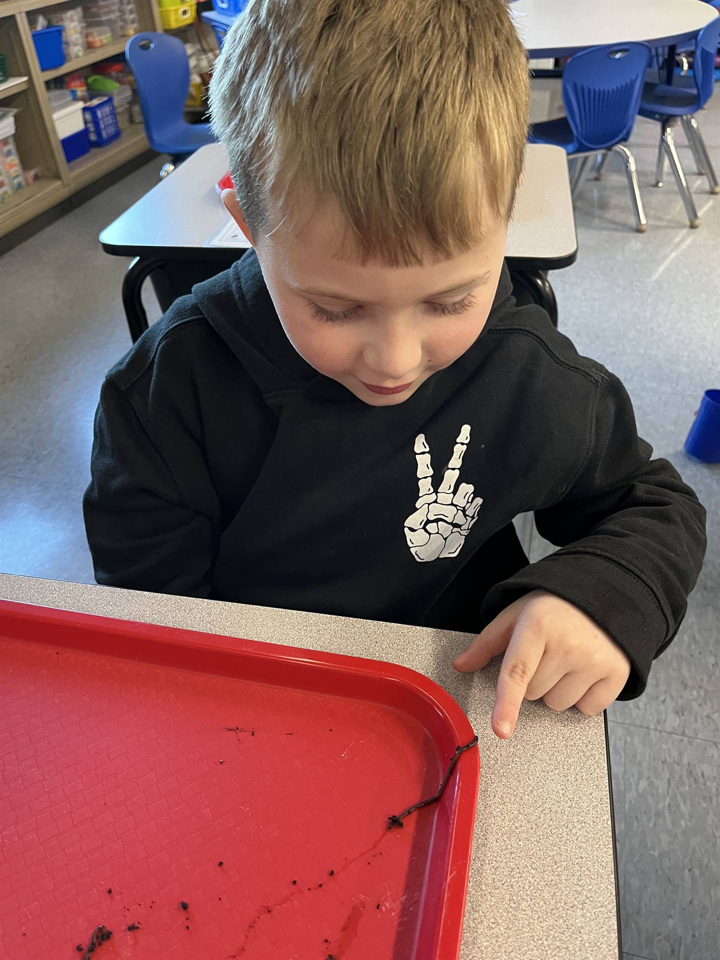 a student points to the worms crawling on a tray