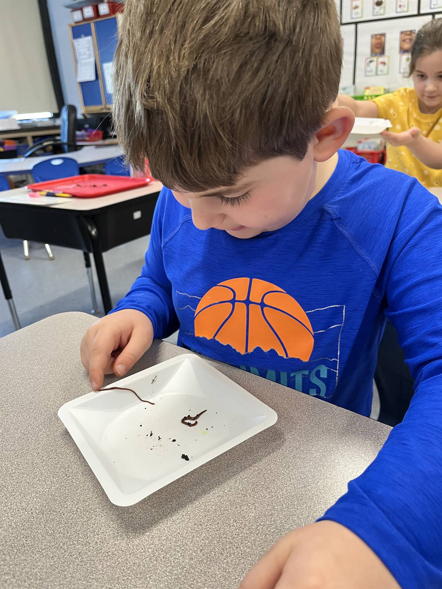a student observes a worm on a white plate